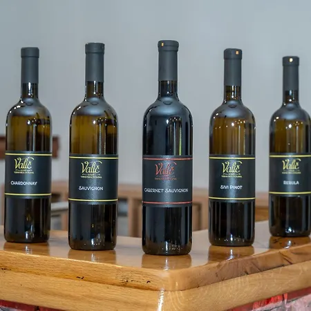 Apartment&winery Valič Ajdovščina