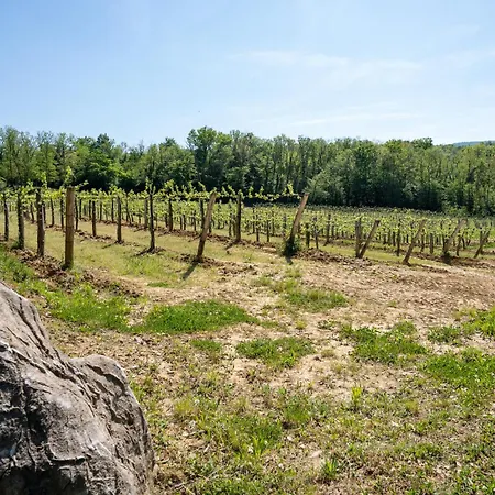 Apartmán Apartment&winery Valič Ajdovščina