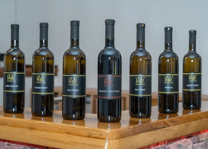 Apartma Valic Ajdovščina