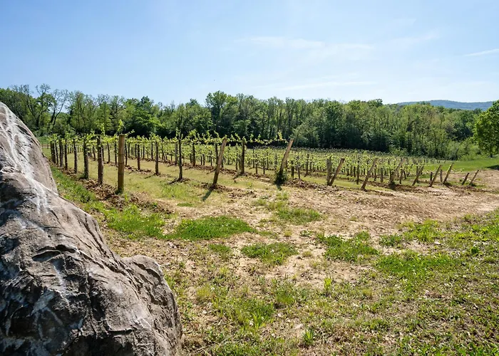 Appartamento Apartma Valic Ajdovščina